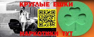 a pvp Славгород
