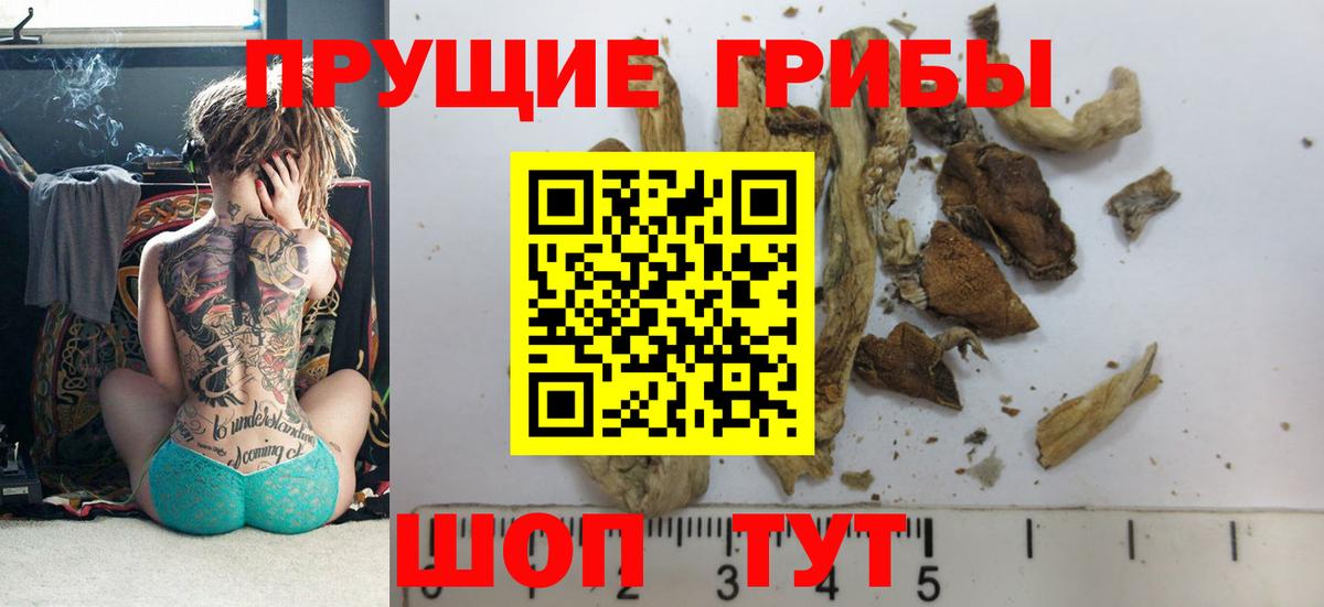 Галлюциногенные грибы прущие грибы  Вход с VPN  Саяногорск 